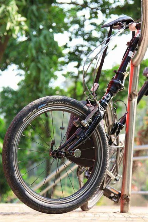 Cycling & Wheel Sports - Discount Msrp