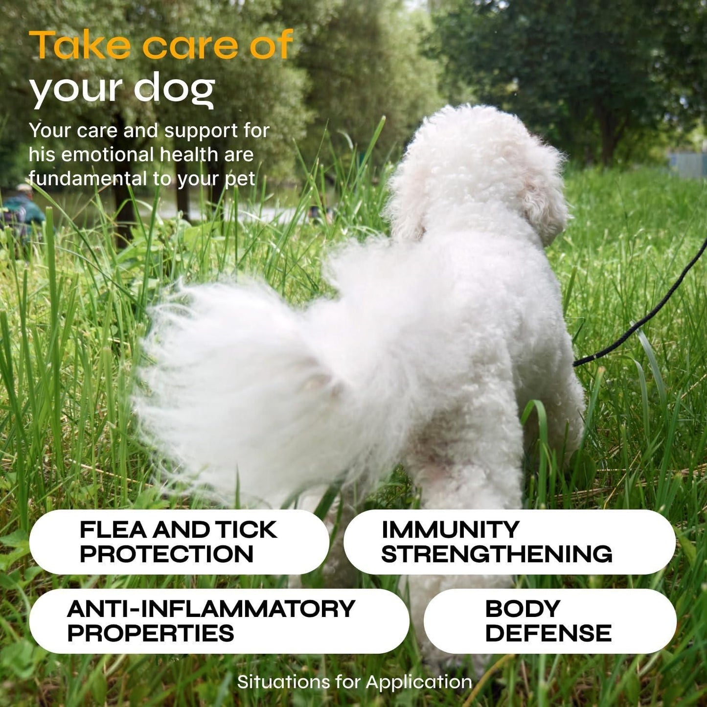 Flea and Tick Prevention for Dogs Flea Treatment Chews Immune Support Flea and Tick Chewables for Dogs Flea Tick Control Supplement All Breeds Ages Vet Formulated Soft Treats - Discount Msrp