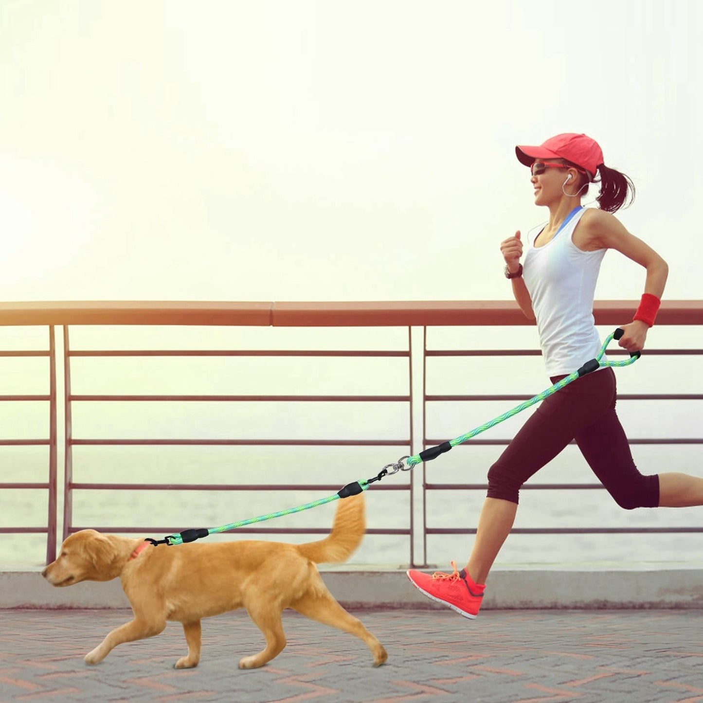 Double Dogs Leash No-Tangle Dogs Lead Reflective Dogs Walking Leash w/ Swivel Coupler Padded Handle - Discount Msrp