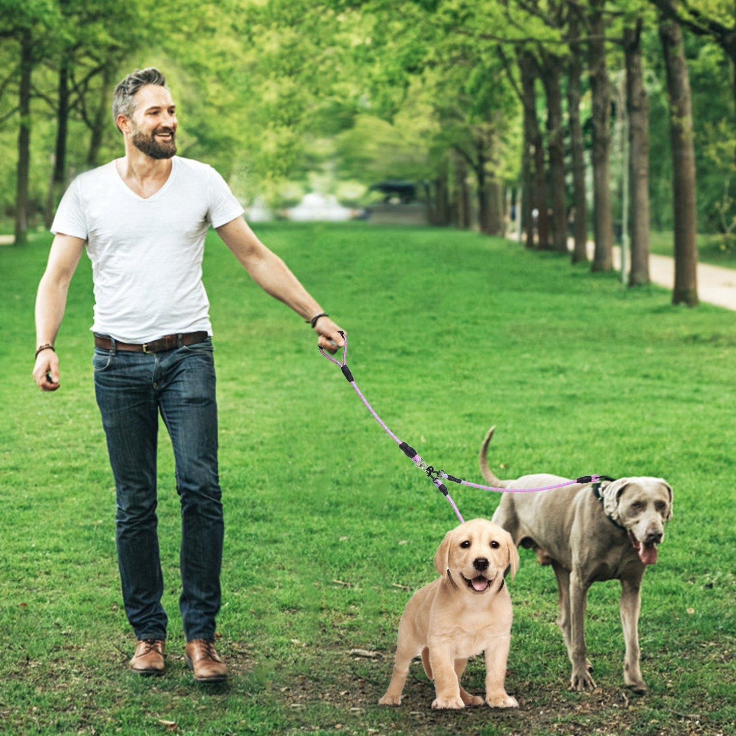 Double Dogs Leash No-Tangle Dogs Lead Reflective Dogs Walking Leash w/ Swivel Coupler Padded Handle - Discount Msrp