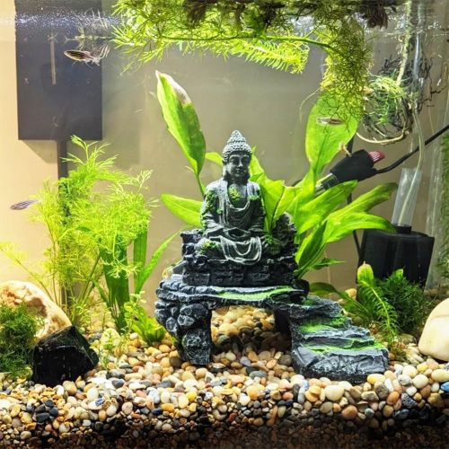 38lbs Decorative Garden Stone Outdoor Landscaping, Walkways, Yard, 1-3 inch Large Polished River Rocks for Plants Pots, Vases, Crafts - Discount Msrp