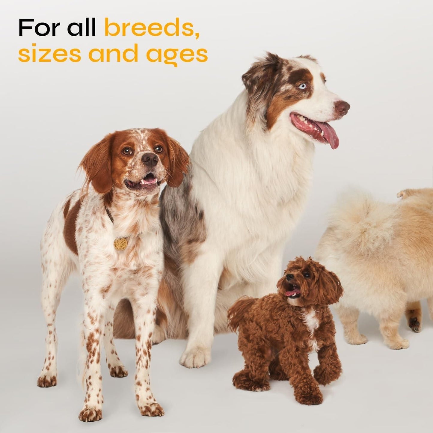 Flea and Tick Prevention for Dogs Flea Treatment Chews Immune Support Flea and Tick Chewables for Dogs Flea Tick Control Supplement All Breeds Ages Vet Formulated Soft Treats - Discount Msrp