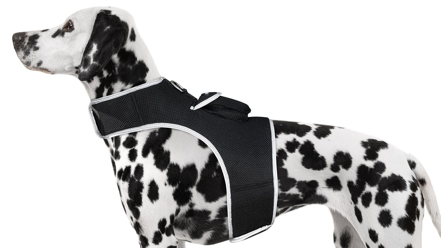 Pet Realtime Surveillance w/ Pet Tracker GPS Tracking Chip for Dogs + App Size:M - Discount Msrp 