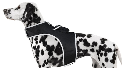 Pet Realtime Surveillance w/ Pet Tracker GPS Tracking Chip for Dogs + App Size:M - Discount Msrp 