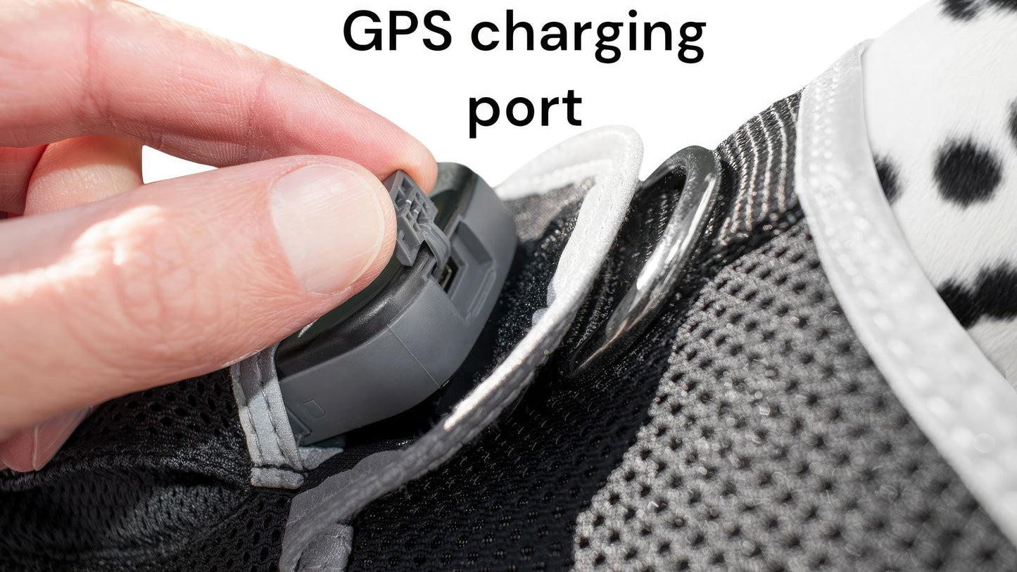 Pet Realtime Surveillance w/ Pet Tracker GPS Tracking Chip for Dogs + App Size:M - Discount Msrp 
