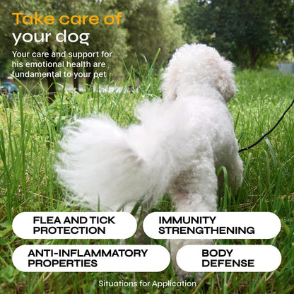 Flea and Tick Prevention for Dogs Flea Treatment Chews Immune Support Flea and Tick Chewables for Dogs Flea Tick Control Supplement All Breeds Ages Vet Formulated Soft Treats - Discount Msrp 