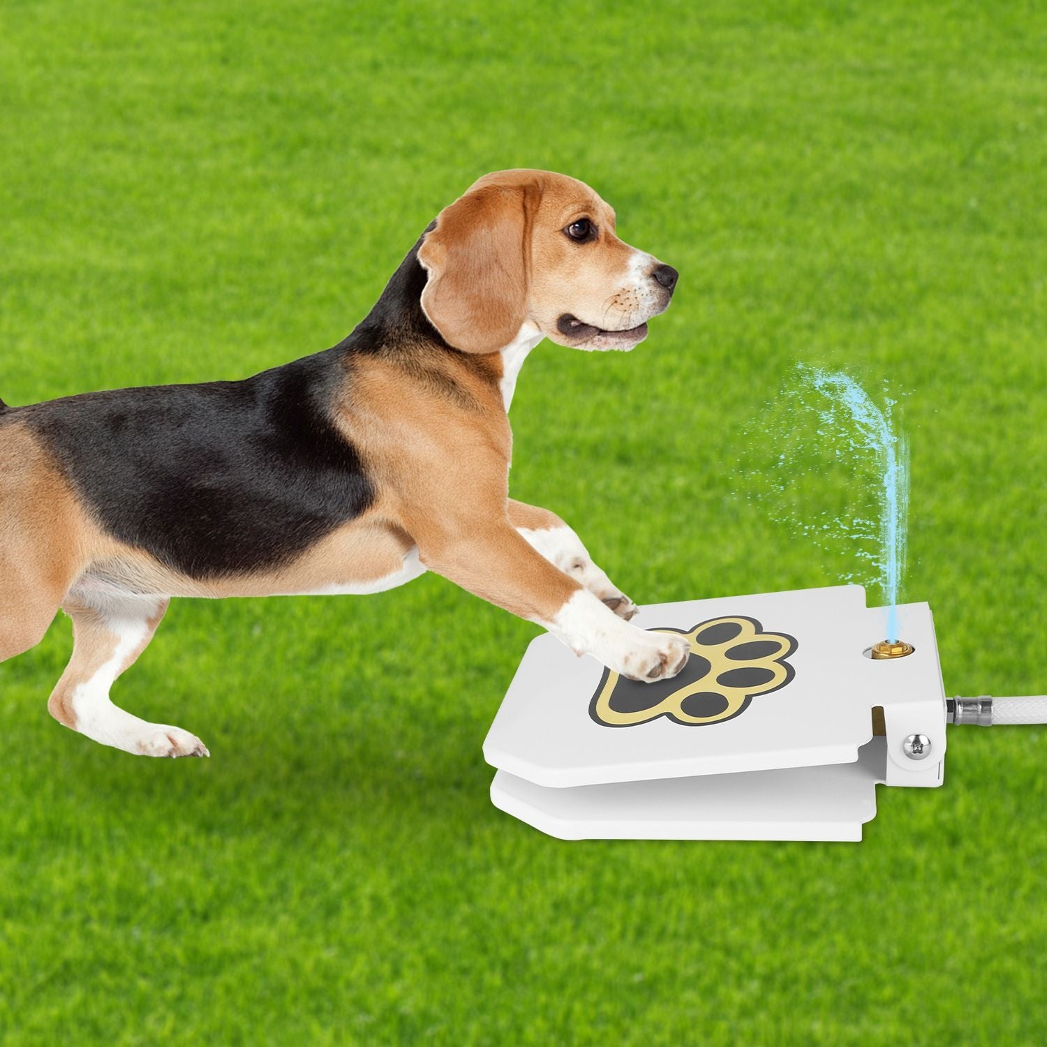 Dog Water Fountain Outdoor Dog Pet Water Dispenser Step-on Activated Sprinkler - Discount Msrp 
