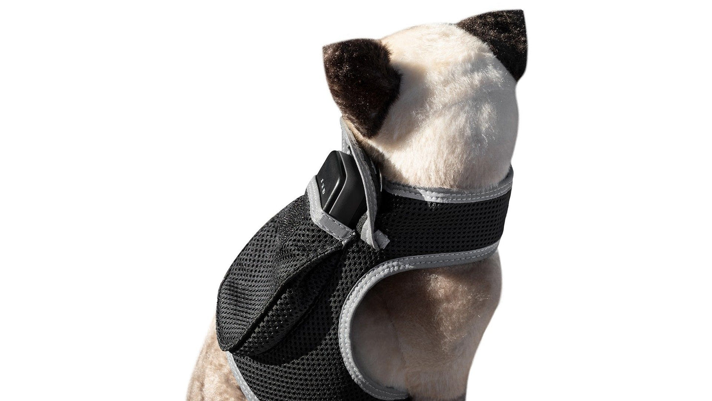 Pet Realtime Surveillance w/ Pet Tracker GPS Tracking Chip for Dogs + App Size:M - Discount Msrp 