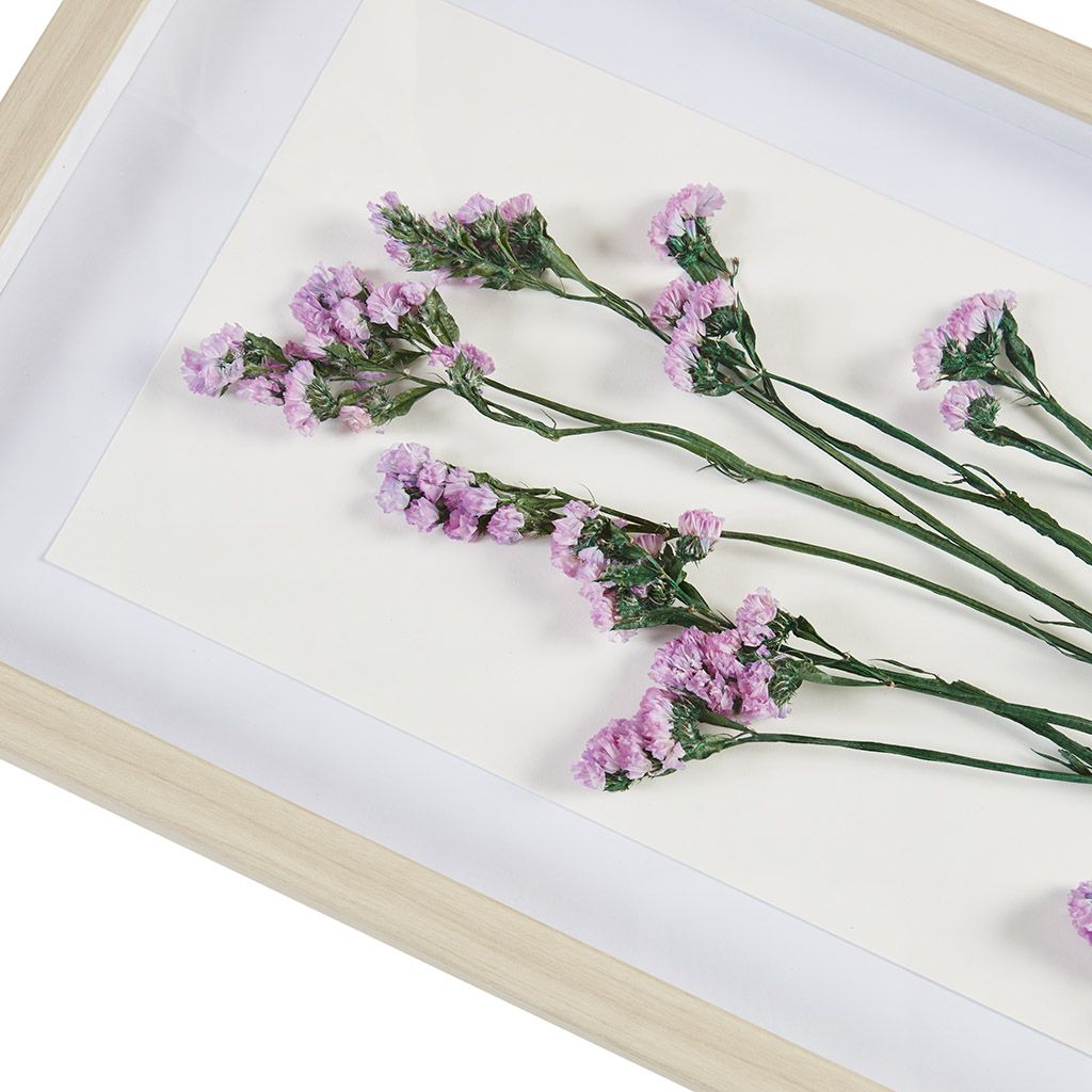 Dried Flower 2-piece Shadow Box Wall Decor Set - Discount Msrp 