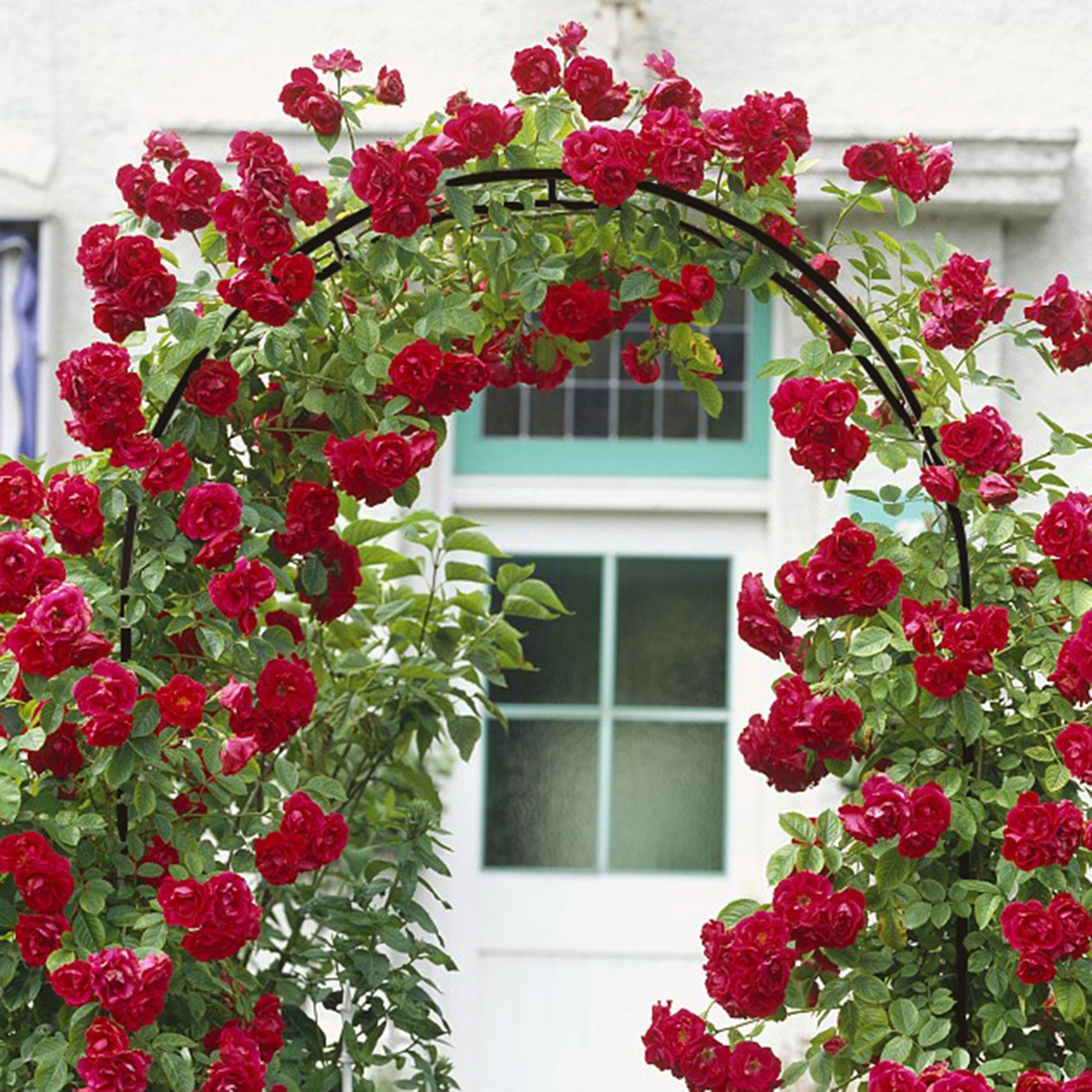 78"H x 45"W Metal Garden Arch Trellis; Adjustable Arbor Trellis for Garden Climbing Plants Support or Wedding Decor - Discount Msrp 