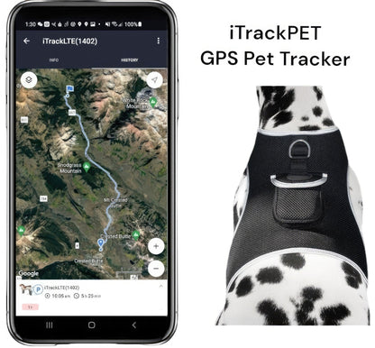 Pet Realtime Surveillance w/ Pet Tracker GPS Tracking Chip for Dogs + App Size:M - Discount Msrp 