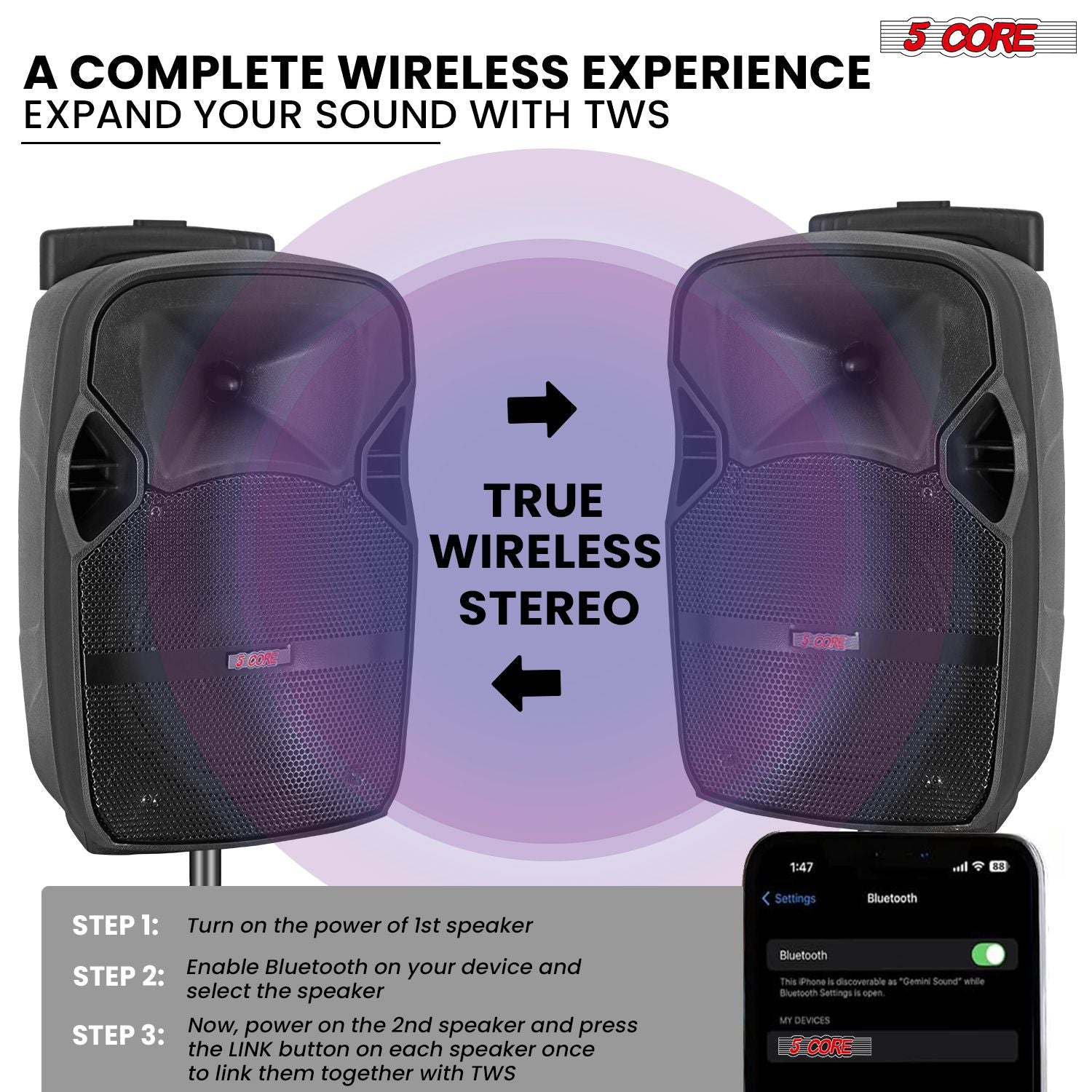 5 Core 10 inch PA Portable Bluetooth Party Speaker Karaoke Boombox + 2 Wireless Mics : ACTIVE HOME 10 2-MIC - Discount Msrp 
