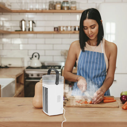 4 In 1 Portable Air Conditioner Fan Evaporative Air Cooler Water Fan - Discount Msrp 