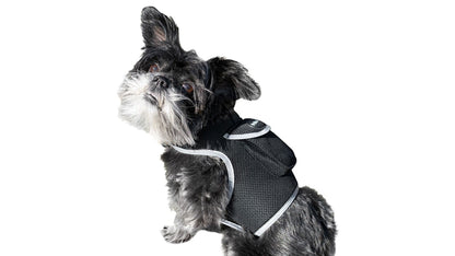 Pet Realtime Surveillance w/ Pet Tracker GPS Tracking Chip for Dogs + App Size:M - Discount Msrp 