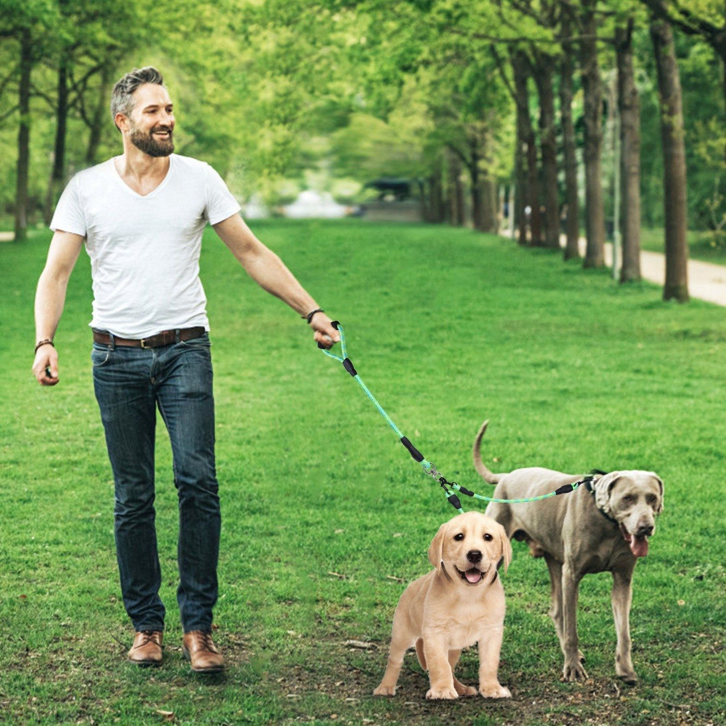 Double Dogs Leash No-Tangle Dogs Lead Reflective Dogs Walking Leash w/ Swivel Coupler Padded Handle - Discount Msrp 