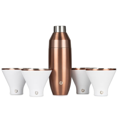 Stainless Steel Cocktail Shaker and Martini Glass Set, Gold and White - Discount Msrp 