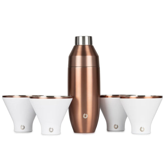 Stainless Steel Cocktail Shaker and Martini Glass Set, Gold and White - Discount Msrp 