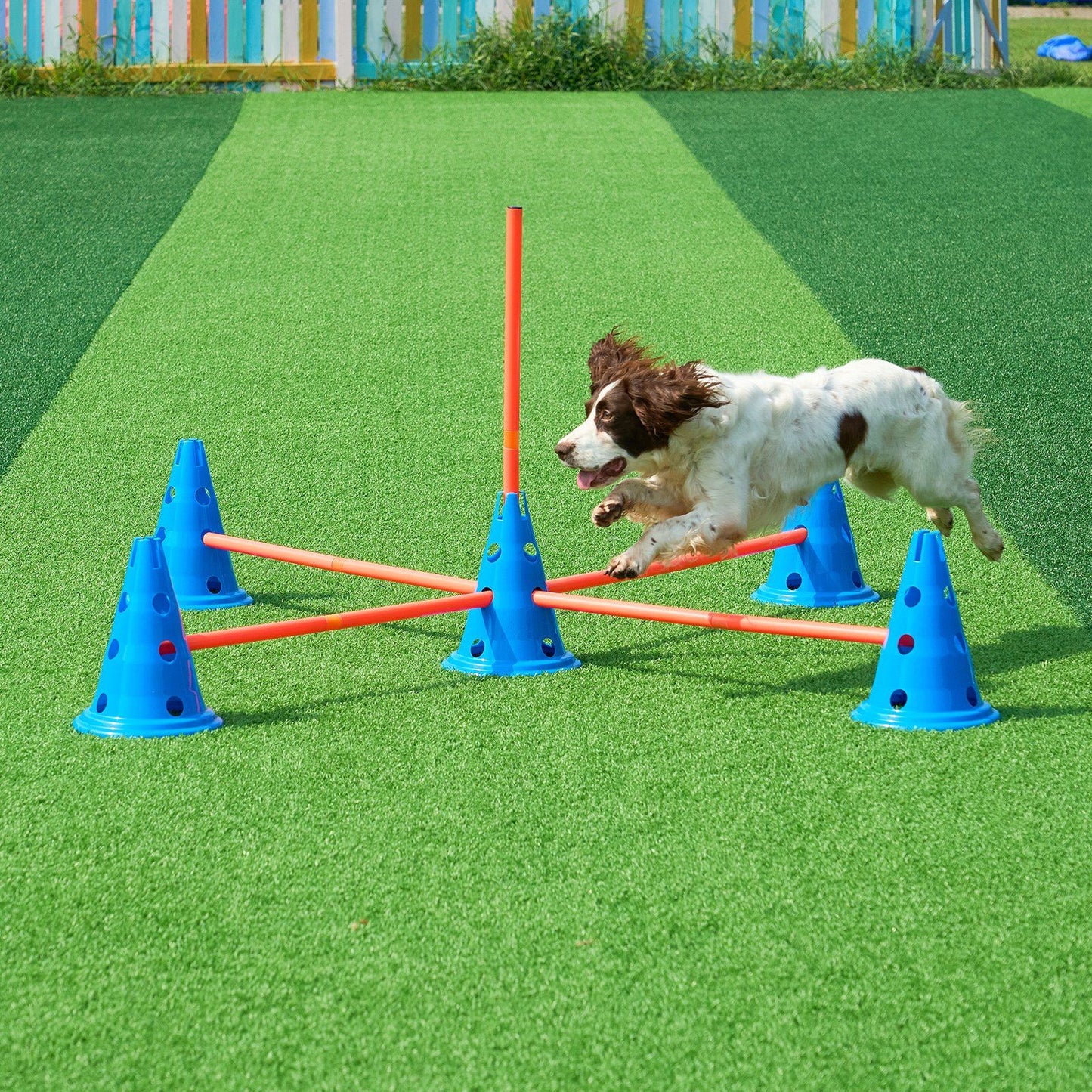 VEVOR Dog Agility Hurdle Cone Set 6 PCS Kit-12 xCones 6 xAgility Rods with Bag - Discount Msrp 