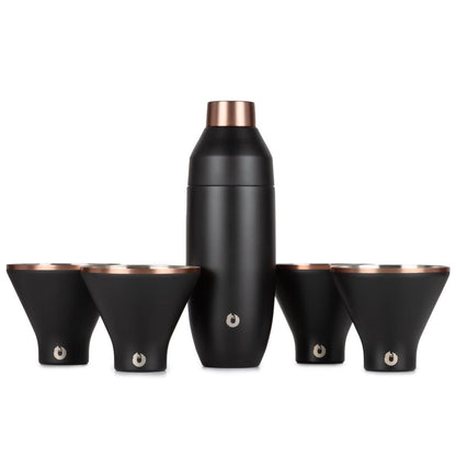 Stainless Steel Cocktail Shaker and Martini Glass Set, Black - Discount Msrp 