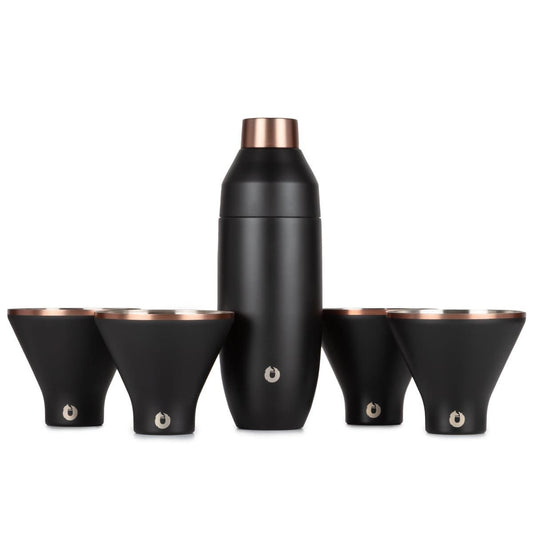 Stainless Steel Cocktail Shaker and Martini Glass Set, Black - Discount Msrp 