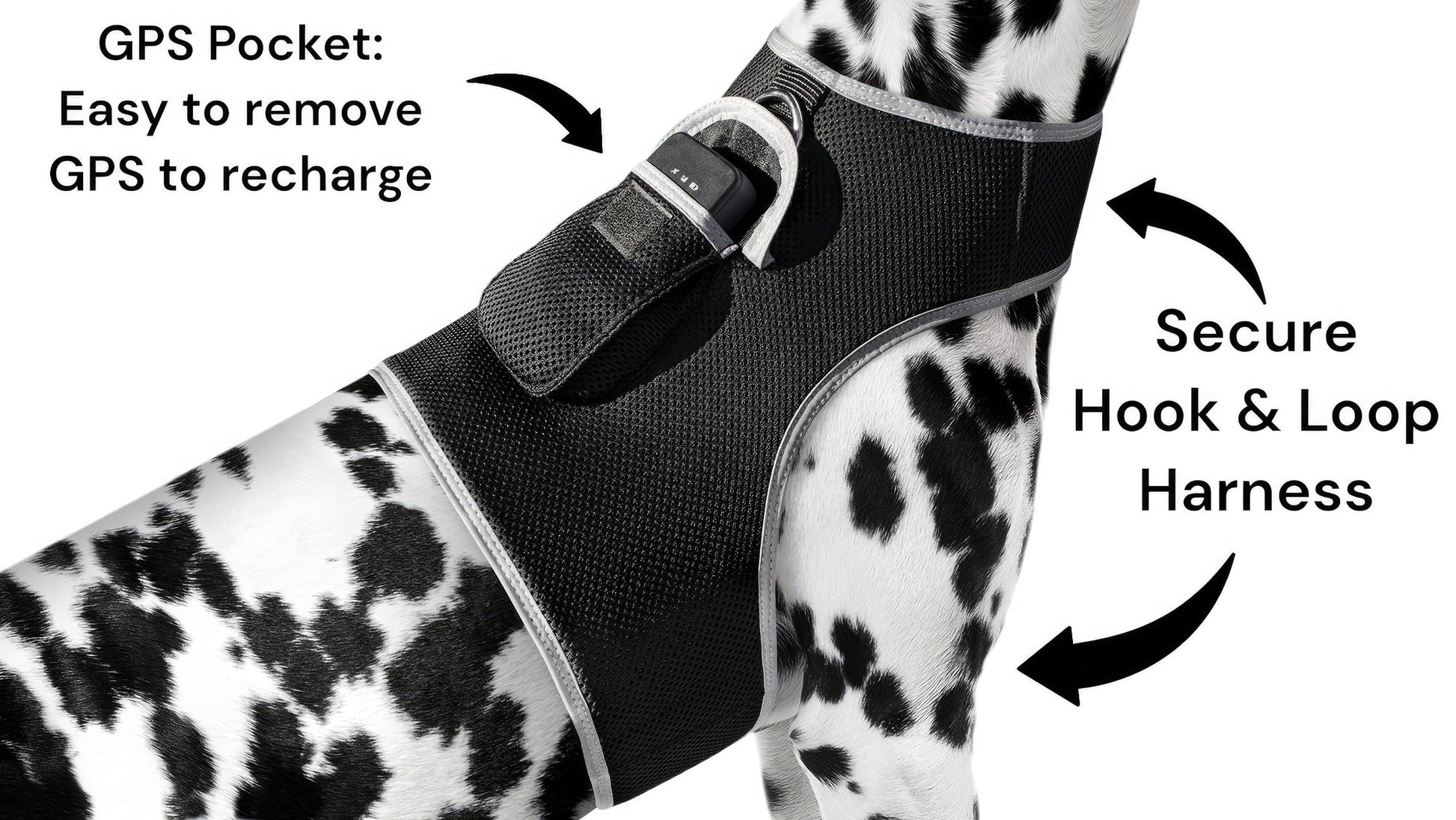 Pet Realtime Surveillance w/ Pet Tracker GPS Tracking Chip for Dogs + App Size:M - Discount Msrp 