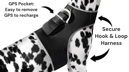Pet Realtime Surveillance w/ Pet Tracker GPS Tracking Chip for Dogs + App Size:M - Discount Msrp 