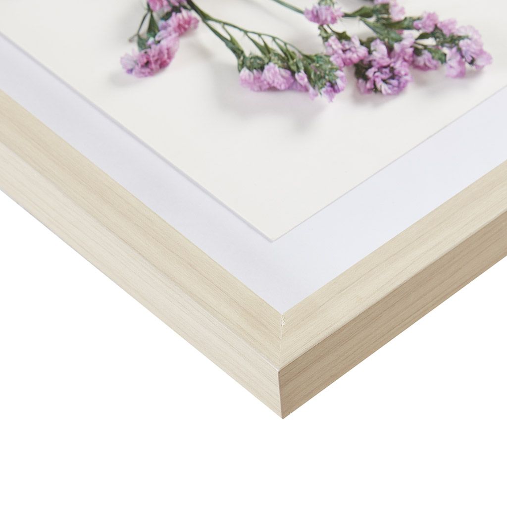Dried Flower 2-piece Shadow Box Wall Decor Set - Discount Msrp 
