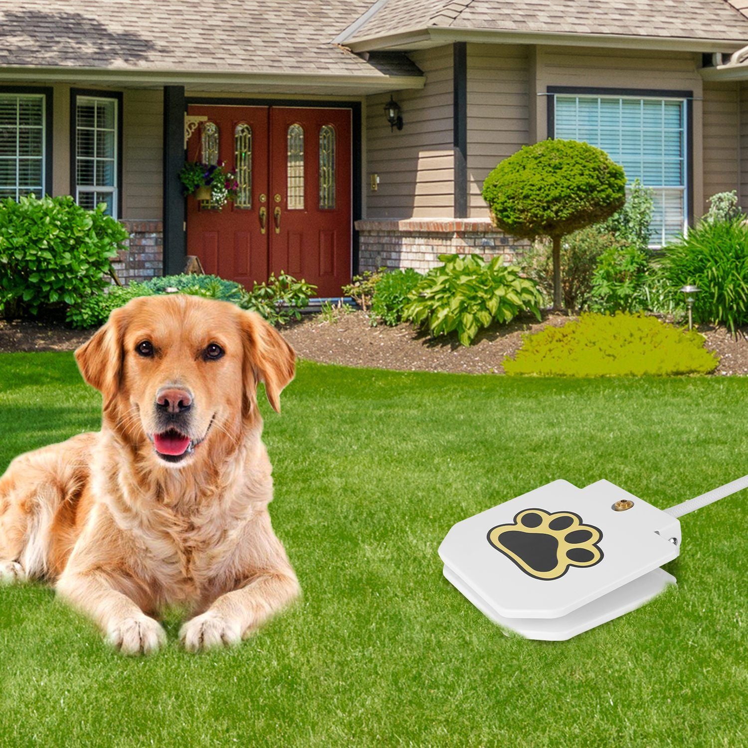 Dog Water Fountain Outdoor Dog Pet Water Dispenser Step-on Activated Sprinkler - Discount Msrp 