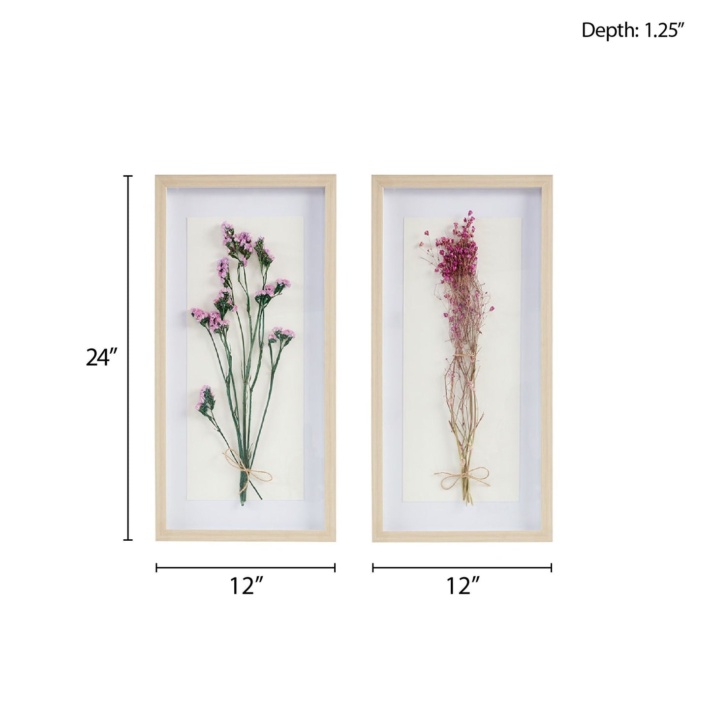Dried Flower 2-piece Shadow Box Wall Decor Set - Discount Msrp 