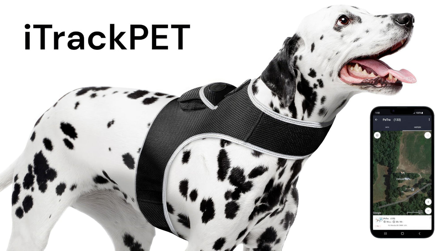 Pet Realtime Surveillance w/ Pet Tracker GPS Tracking Chip for Dogs + App Size:M - Discount Msrp 