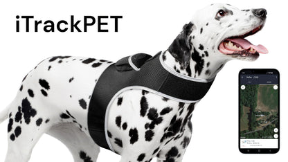 Pet Realtime Surveillance w/ Pet Tracker GPS Tracking Chip for Dogs + App Size:M - Discount Msrp 