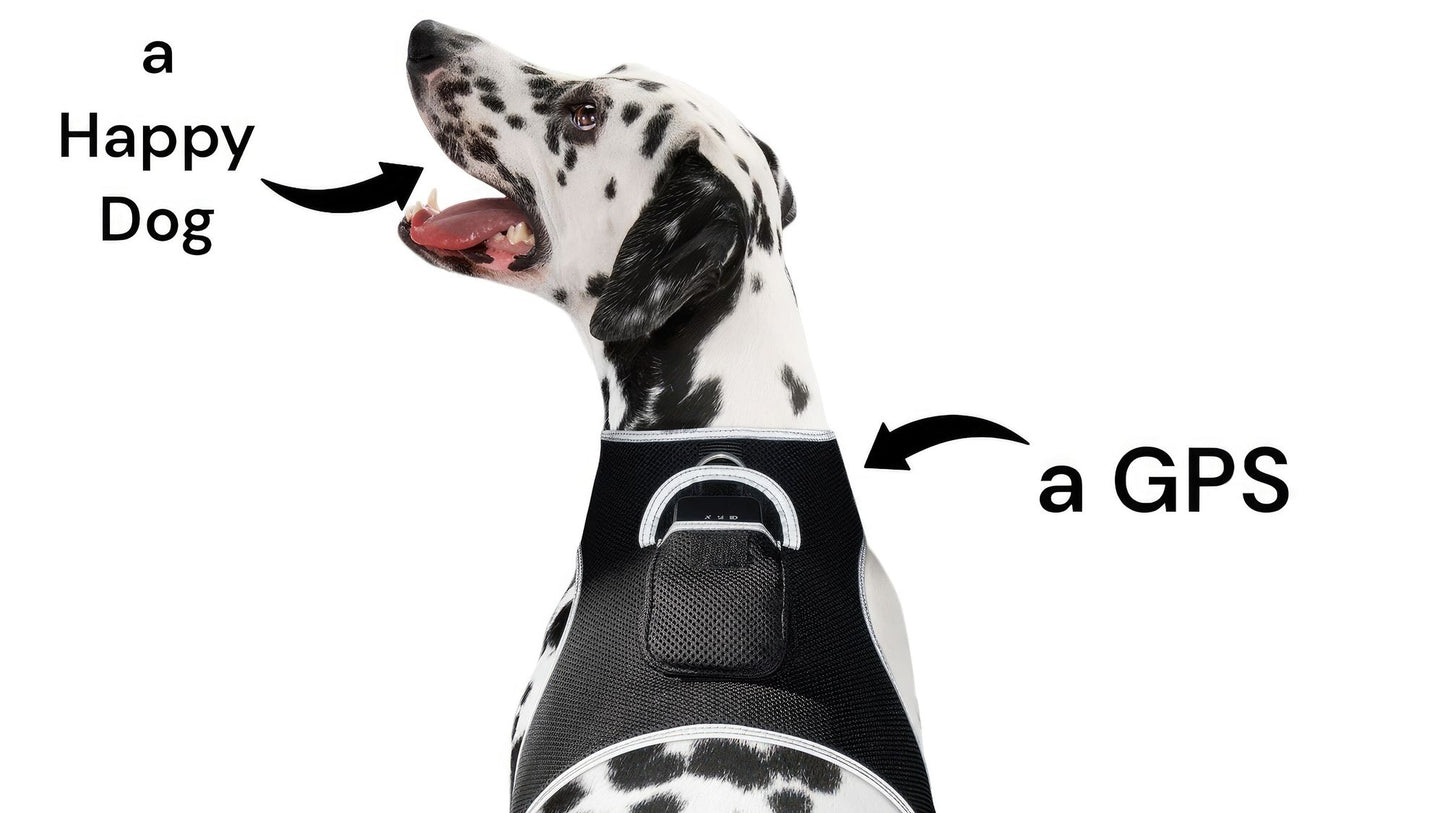 Pet Realtime Surveillance w/ Pet Tracker GPS Tracking Chip for Dogs + App Size:M - Discount Msrp 
