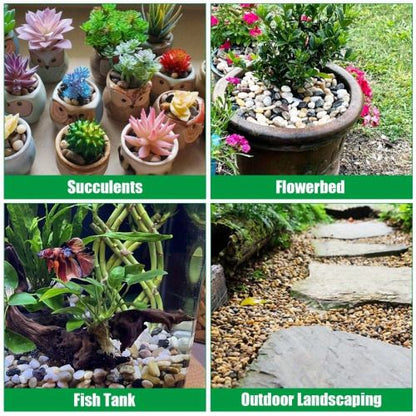 38lbs Decorative Garden Stone Outdoor Landscaping, Walkways, Yard, 1-3 inch Large Polished River Rocks for Plants Pots, Vases, Crafts - Discount Msrp 