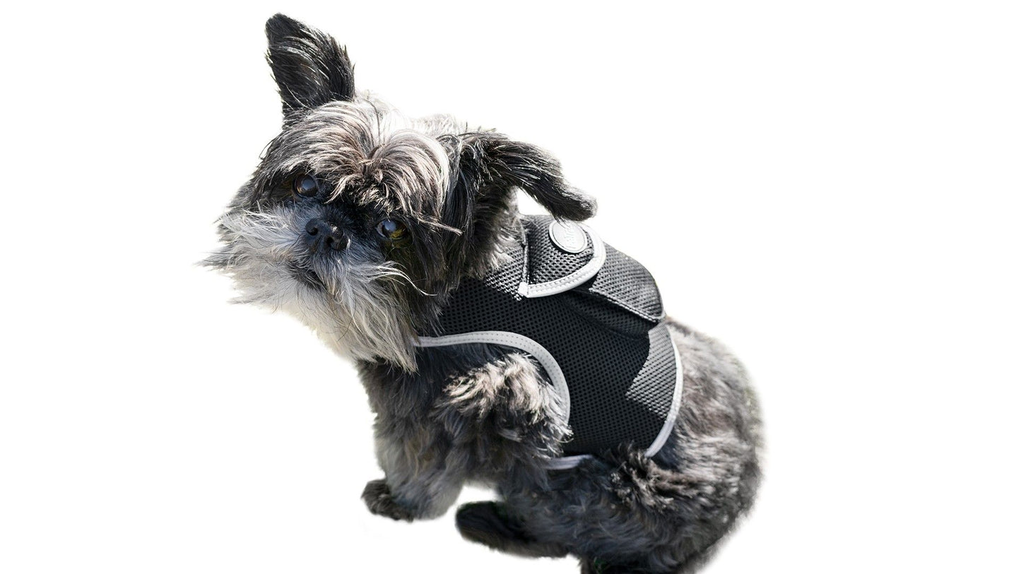 Pet Realtime Surveillance w/ Pet Tracker GPS Tracking Chip for Dogs + App Size:M - Discount Msrp 