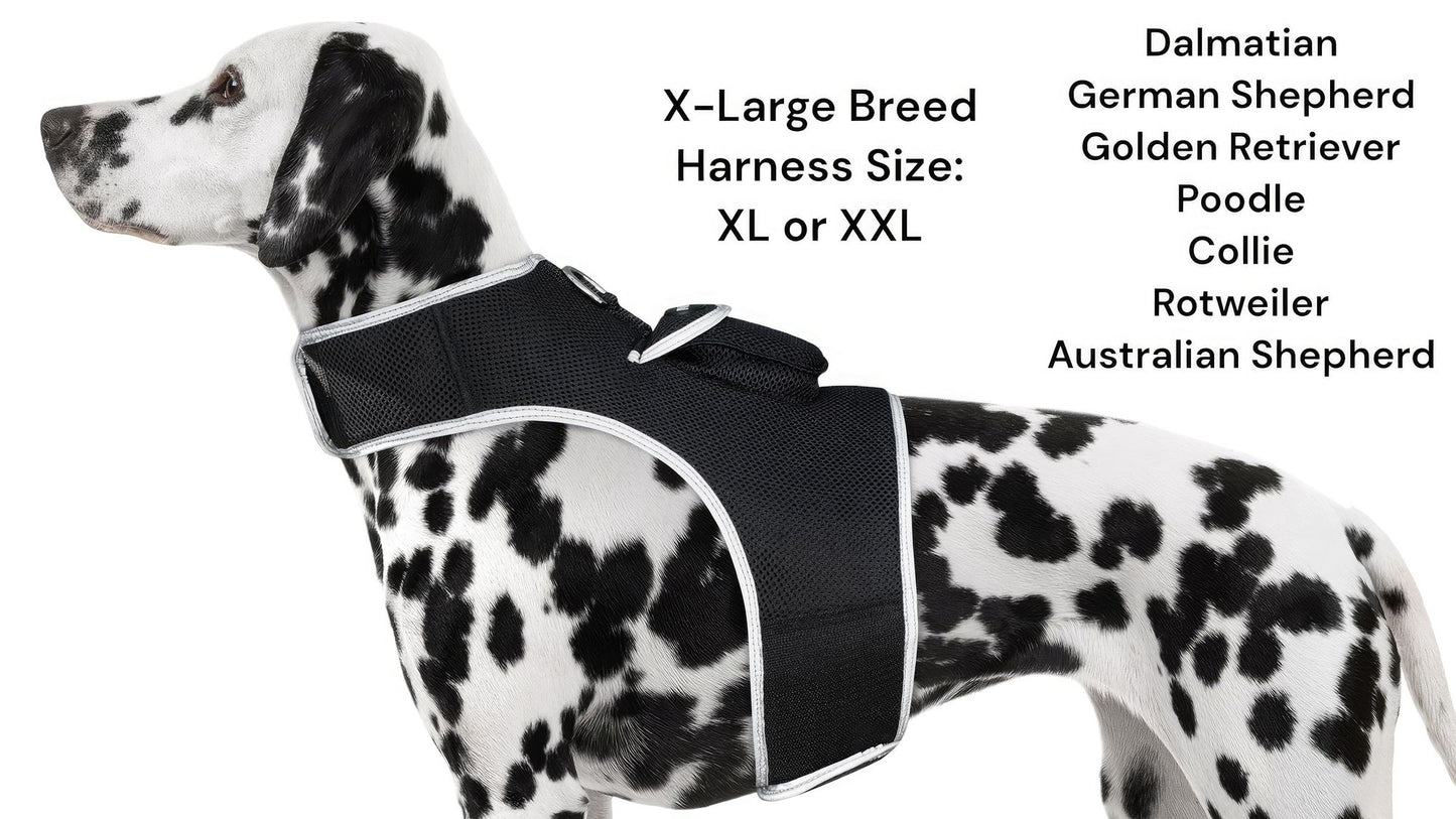 Pet Realtime Surveillance w/ Pet Tracker GPS Tracking Chip for Dogs + App Size:M - Discount Msrp 