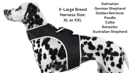 Pet Realtime Surveillance w/ Pet Tracker GPS Tracking Chip for Dogs + App Size:M - Discount Msrp 