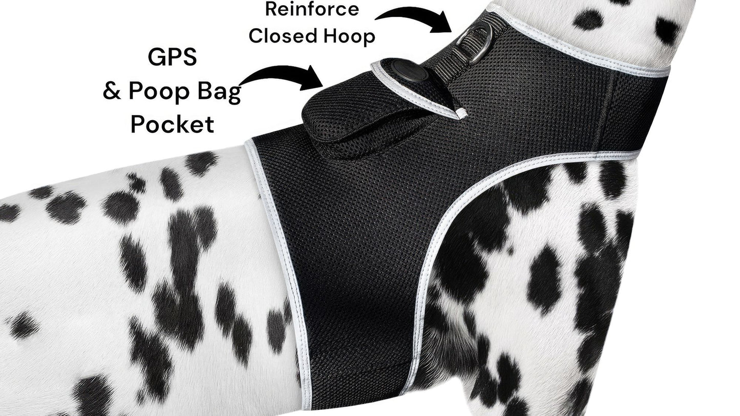 Pet Realtime Surveillance w/ Pet Tracker GPS Tracking Chip for Dogs + App Size:M - Discount Msrp 