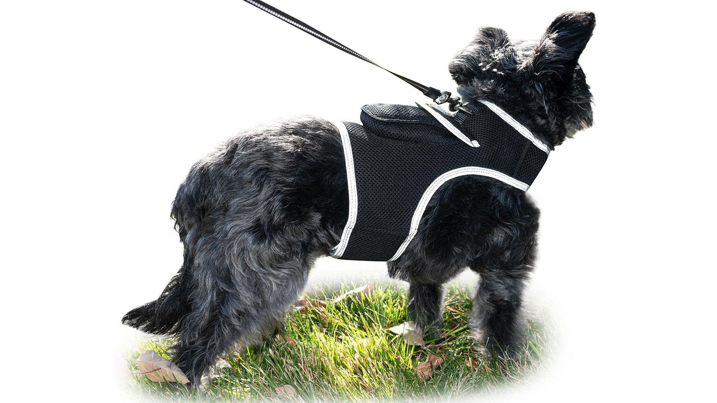 Pet Realtime Surveillance w/ Pet Tracker GPS Tracking Chip for Dogs + App Size:M - Discount Msrp 