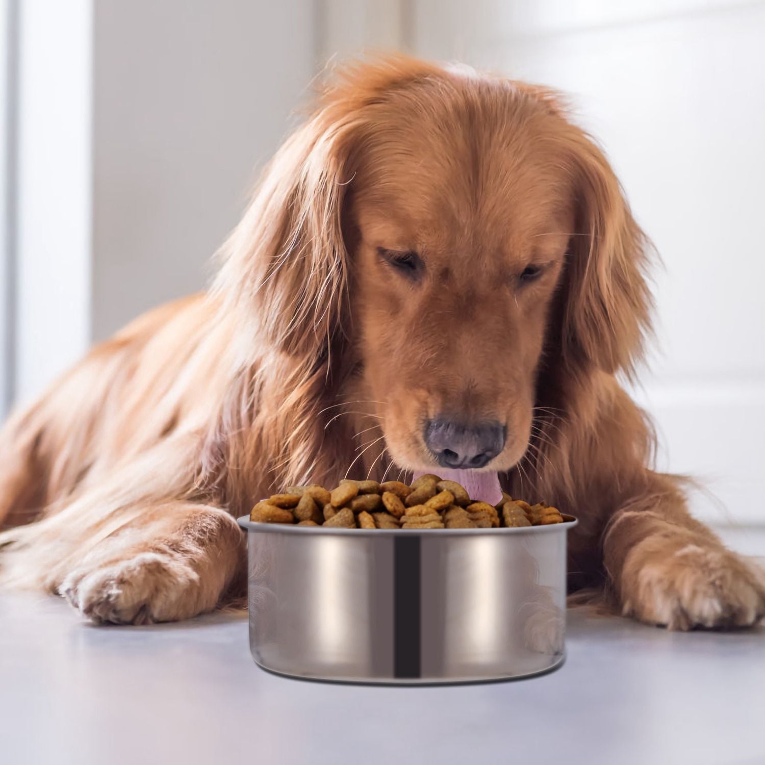 Stainless Steel Dog Bowl Pets Hanging Food Bowl Detachable Pet Cage Food Water Bowl with Clamp Holder - Discount Msrp 
