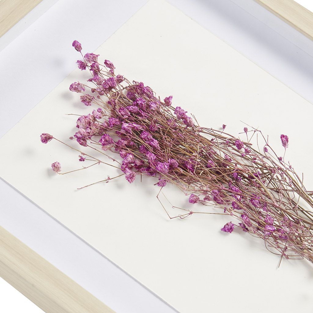 Dried Flower 2-piece Shadow Box Wall Decor Set - Discount Msrp 