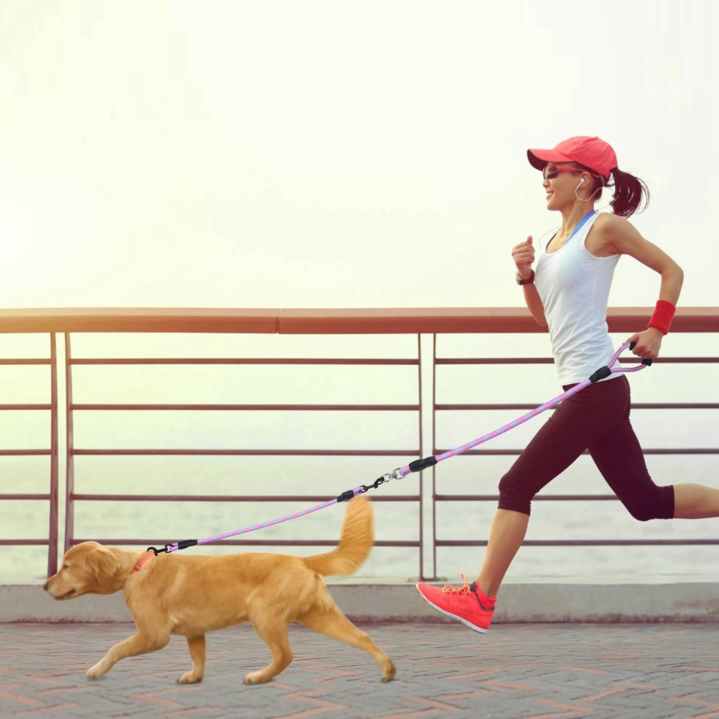 Double Dogs Leash No-Tangle Dogs Lead Reflective Dogs Walking Leash w/ Swivel Coupler Padded Handle - Discount Msrp 