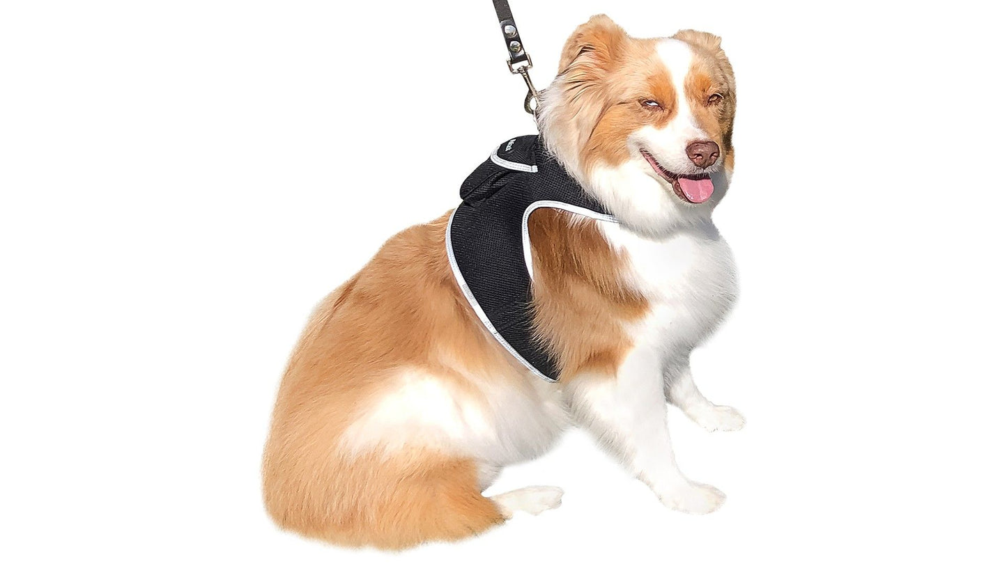 Pet Realtime Surveillance w/ Pet Tracker GPS Tracking Chip for Dogs + App Size:M - Discount Msrp 