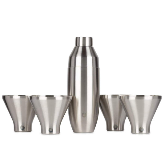 Stainless Steel Cocktail Shaker and Martini Glass Set, Steel - Discount Msrp 